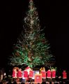 【祭り】はこだてクリスマスファンタジー